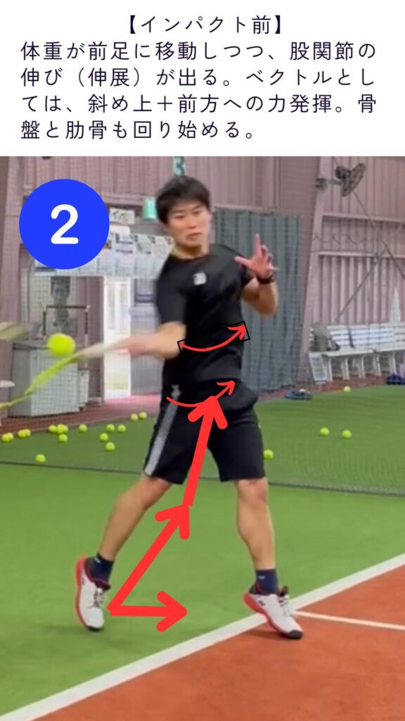 テニス　股関節の動き　インパクト